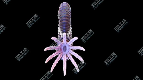 images/goods_img/20210312/Ammonite model/4.jpg